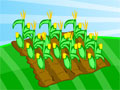 Jogo - Farm Fun, Seja um bom fazendeiro e cuide bem de sua plantação que aos poucos vai se tornar uma bela e grandiosa fazenda, utilize todas as ferramentas corretas no momento exato e ganhe muito dinheiro.